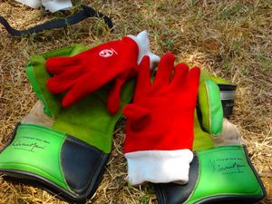 Wicket keeping gloves along with the inner gloves.jpg