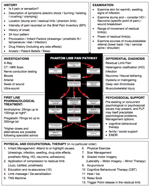 File:Assessment-and-treatment-for-phantom-limb-pain.png