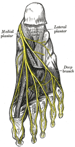 medial plantar nerve pain
