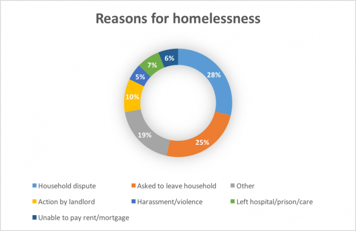Reasons for homelessness.png