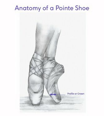 Anatomy of the Pointe Shoe - Physiopedia