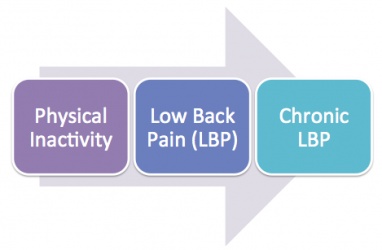 The main focus of our page is physical inactivity causing low back pain