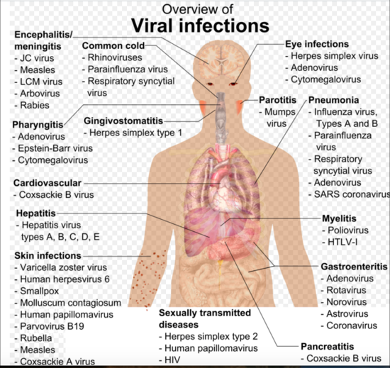 Viral Infections Physiopedia