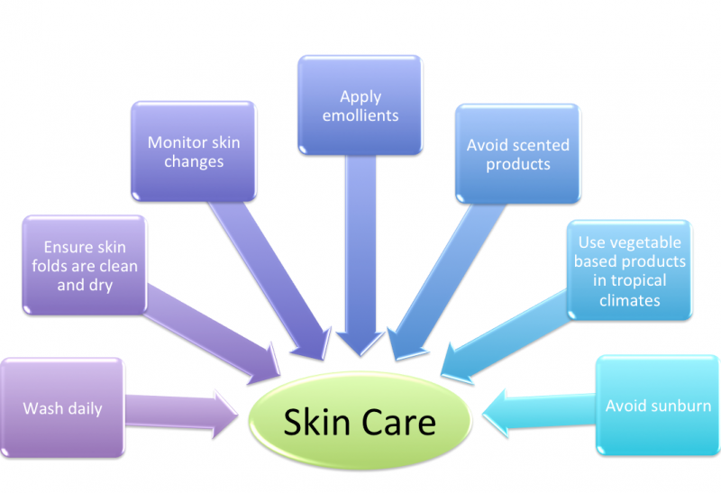 File:Skin care .png