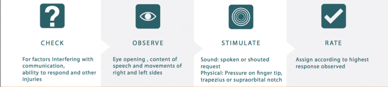 File:GCS Steps to Assessment.png