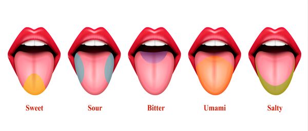 Tongue - Physiopedia