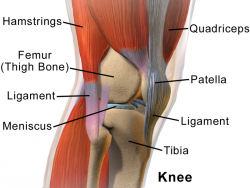 knee pain when walking