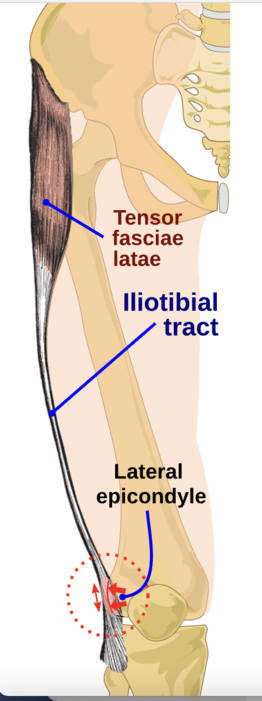 Lateral Knee Pain Part 3 - Exercises for Iliotibial Band (ITB) Syndrome -  Modern Physiotherapy + Training