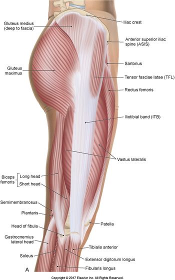 Iliotibial band, Radiology Reference Article