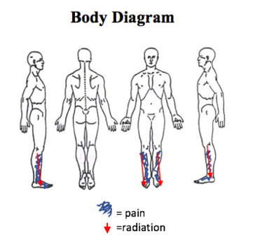 Body Diagram.png