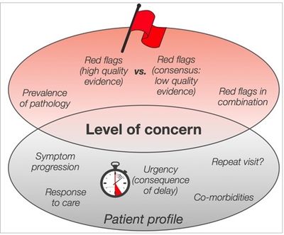 Finucane L. Level of concern - an Introduction to red flags in serious pathology slide. Physioplus 2020.
