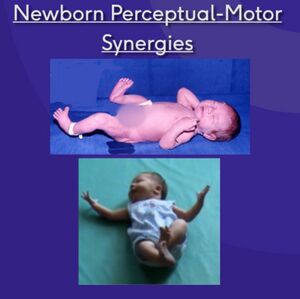Physical Characteristics of a Newborn Baby