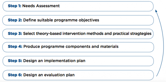 Steps to theory development (Collard et al 2009)