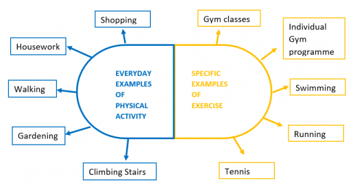 Types of exercise.png