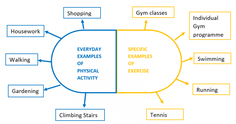 File:Types of exercise.png