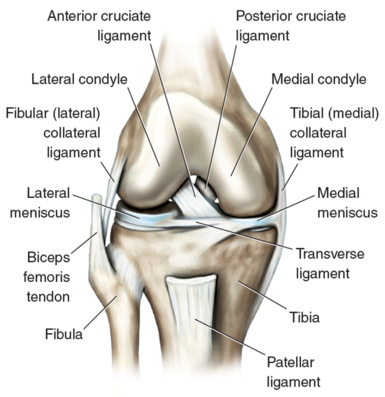 Total Knee Arthroplasty - Physiopedia