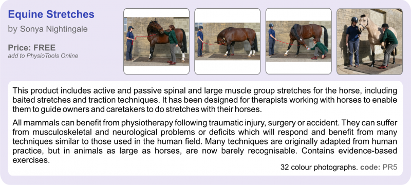 File:Equine-stretches.png