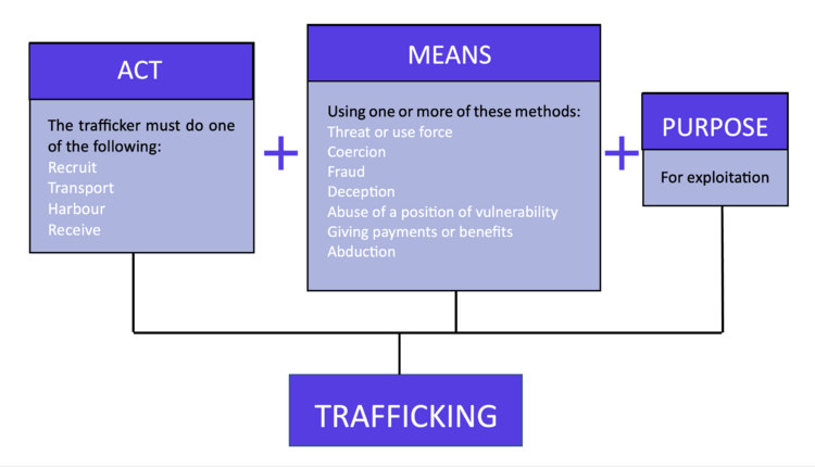 Human Trafficking Awareness For Rehabilitation Professionals Physiopedia