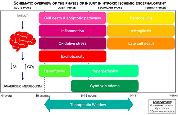 Hypoxic Ischemic Encephalopathy Physiopedia 