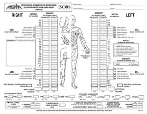 International Standards for Neurological Classification of Spinal Cord