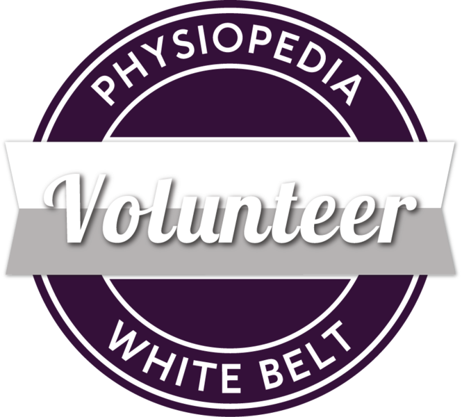 File:Volunteer badge.png