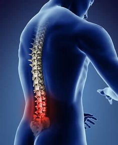 Chronic Low Back Pain 