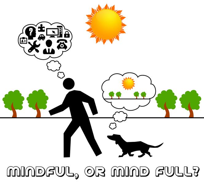File:Mindful or Mind full.jpg