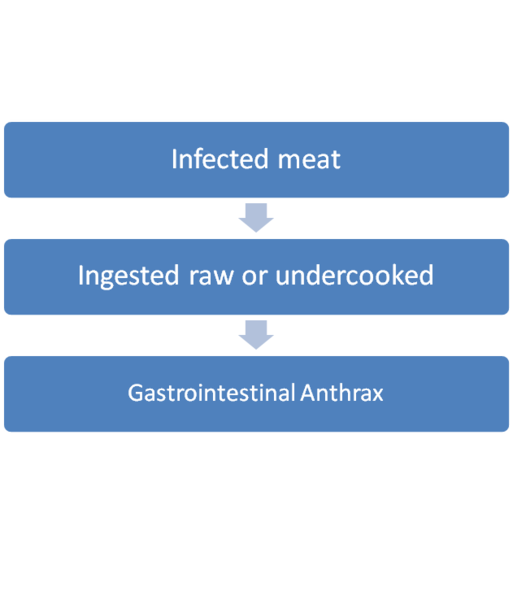 File:Gastrointestinal Anthrax.png