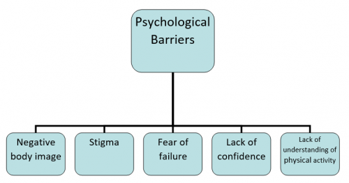 Psychological barriers.png