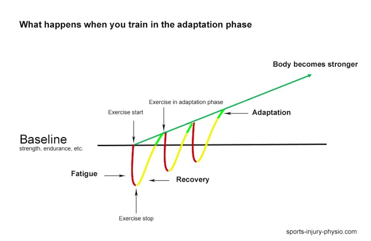 4 Stages of Sports Injury Rehabilitation