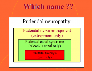 Pudendal Neuralgia - Physiopedia