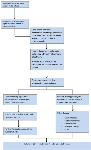 File:Care pathway.png