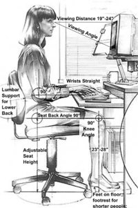 Physiotherapist's Network - Office Chair: How to Reduce Back Pain? Sitting  in an office chair for prolonged periods of time can definitely cause low  back pain or worsen an existing back or