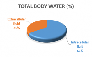 Total Body Water Percentage (Adapted from (Benelam and Yness 2010)