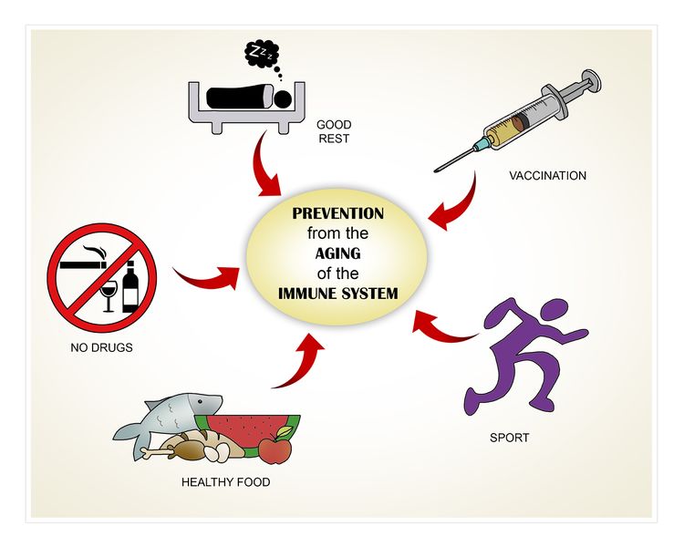 File:Prevention from the aging of immune system.jpg