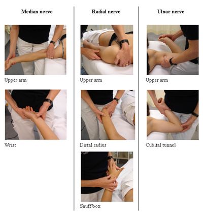 Strength Isometric Test: Wrist Grip Strength