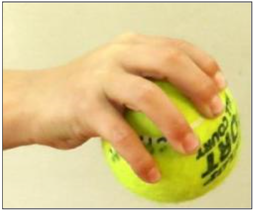 Sporting Hand and Wrist - Why Power and Pinch Grips Matter - Physiopedia
