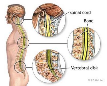 Spinal cord compression: what it means and how it can be treated