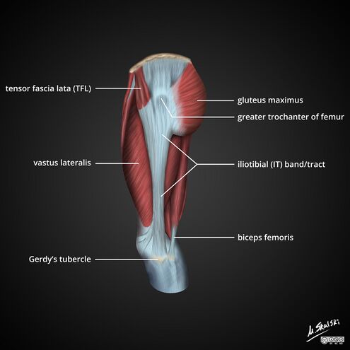 Leg stretches (hamstring,glutes,ITB,adductors) - Physio On a Roll