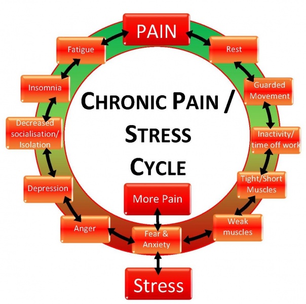 File:Pain Stress relation.jpg