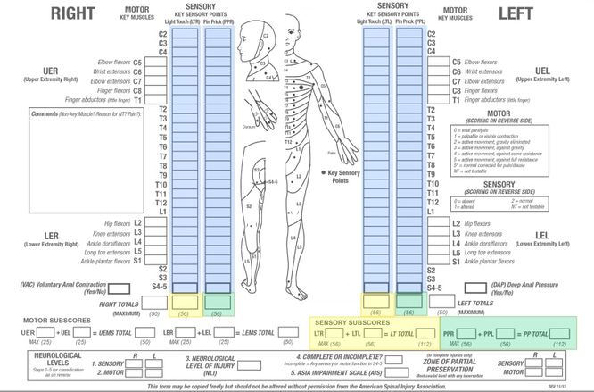 Asia Chart For Spinal Cord Injury