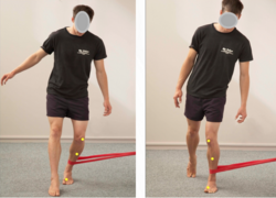 Progression to full weight bearing with proper alignment