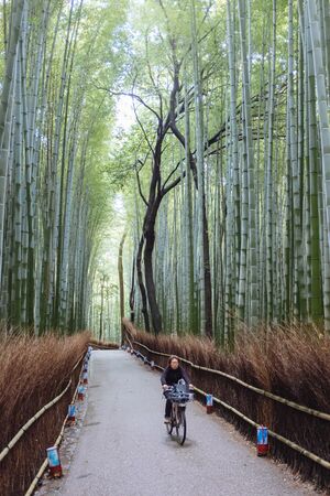 Bamboo.jpeg