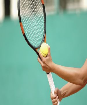 Grips (grasp), Tennis Database Wiki