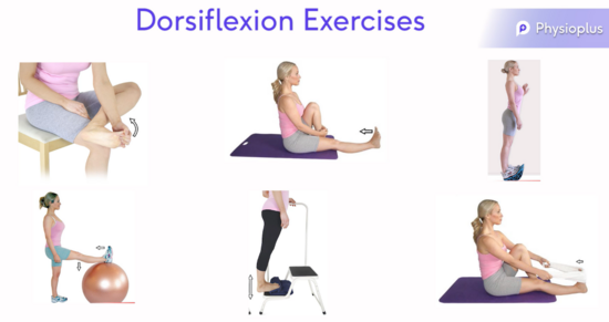 Physiotherapy Exercises for Lower Back Pain | Top 11 Exercises