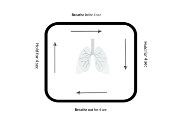 How to Breathe and Ways to Breathe Better
