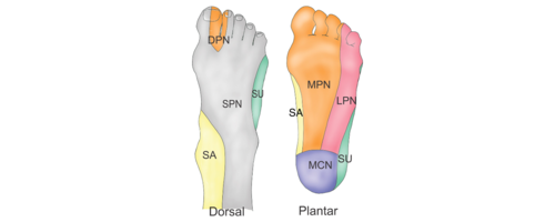 The Healing Sole Palmer Flip Flops - Plantar Fasciitis Pain Treatment