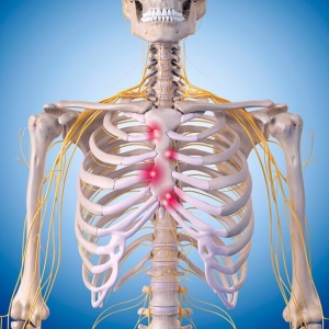 Anatomy Of The Upper Chest Area / anatomy of the mid to upper back