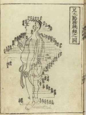 https://www.physio-pedia.com/images/thumb/f/f8/Acupuncture_traditional.jpg/300px-Acupuncture_traditional.jpg