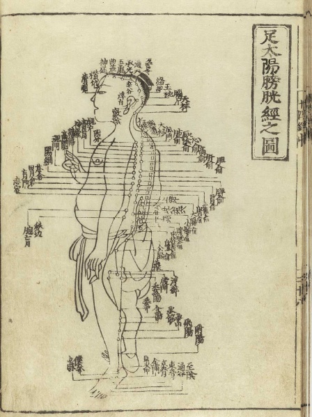 File:Acupuncture traditional.jpg